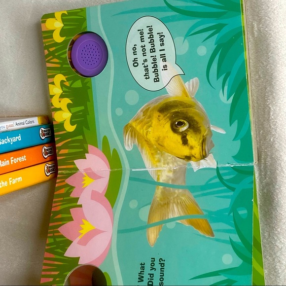 Set of 4 Discover The Sounds books PLUS Bonus Animal Colors Book - Picture 9 of 15